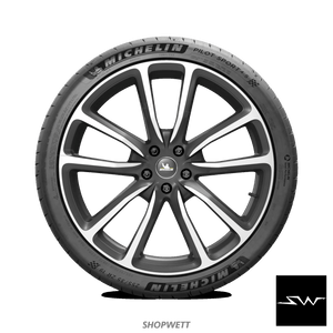 Michelin Pilot Sport 4 S Tires (PS4S)